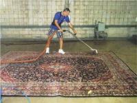 Merry Rug & Carpet Cleaners image 4